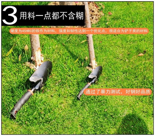 園藝三件套裝種菜種花多肉工具小鏟子養花工具小耙子鐵鍬盆栽用品